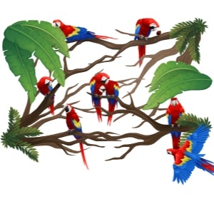 Macaw Family Paradise